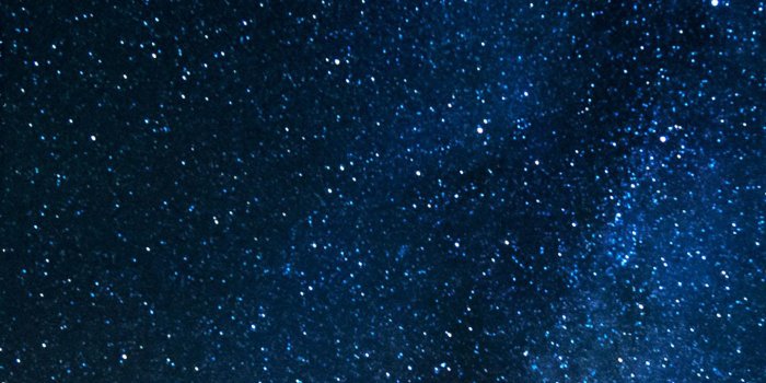 1440x3040 Wolf Howls at a Lunar Eclipse Galaxy S10 Hole-Punch Wallpaper