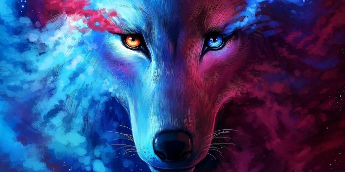 2605x1464 Galaxy Wolf Wallpapers 4K - Wolf-Wallpapers.Pro