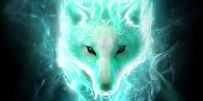 1920x1200 Spirit Galaxy Wallpaper Wolves