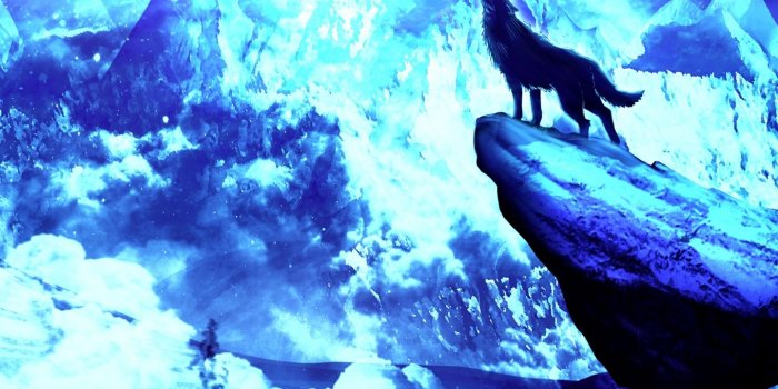 1440x2560 WoowPaper: Galaxy 3d Wolf Wallpapers