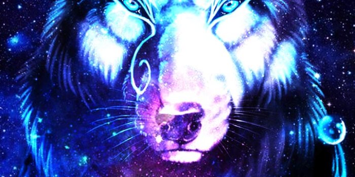 720x1280 NEKO'S HOUSE_offical - Launcher Theme, Wallpaper and Design