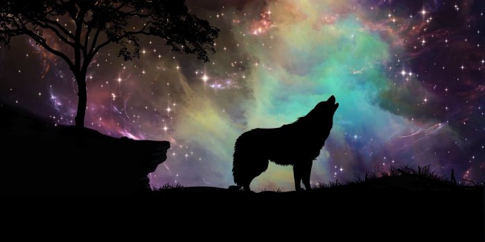 3840x2160 74+ Wolf Art Wallpapers on WallpaperPlay