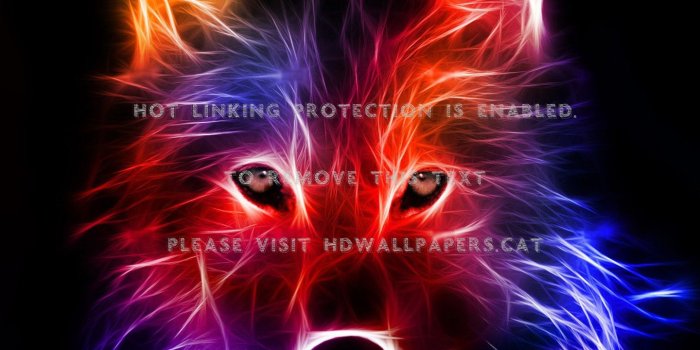 1440x1280 wolf art spirit mythical black wild animal