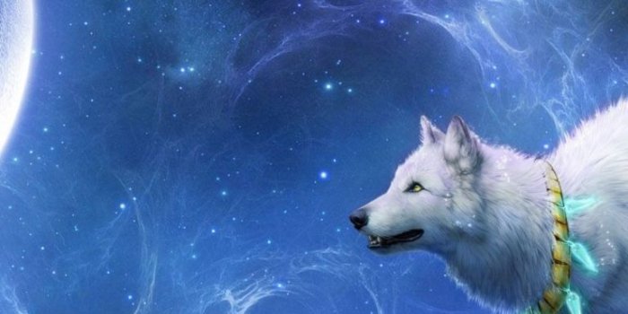 768x1024 Free download Download Galaxy Wolf Wallpaper 34 Wallpaper For your