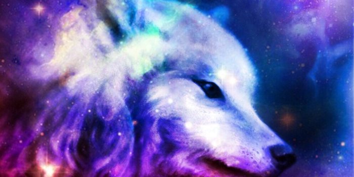 994x803 Galaxy Wolf Clipart