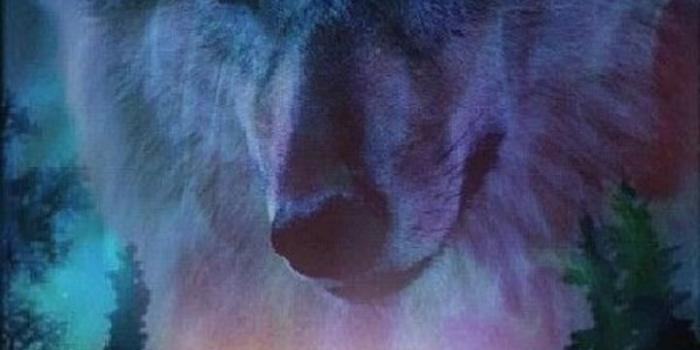 720x1280 Download Wallpaper Wallpaper by mamad57 - c4 - Free on ZEDGE™ now