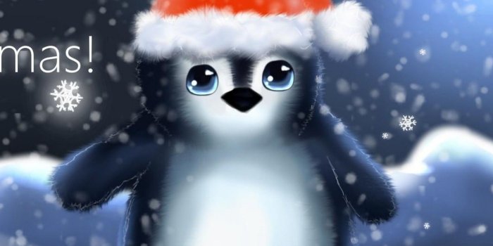 2048x2048 Christmas Penguin Wallpaper (68+ images)