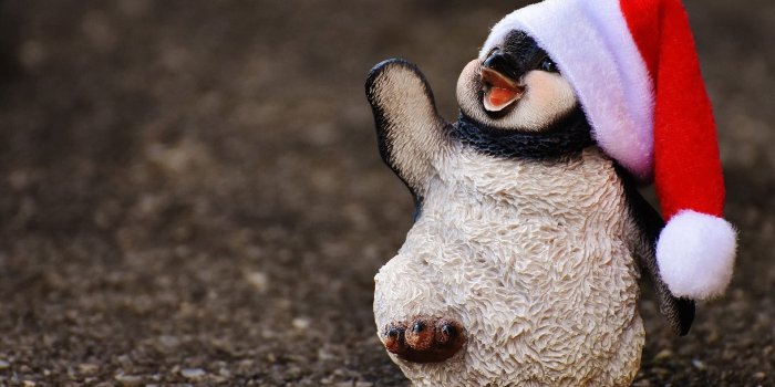 1920x1278 Christmas Penguin Wallpaper (30+ Cute images)