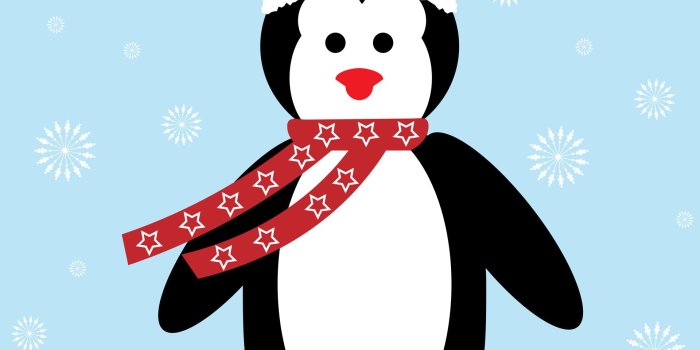 1920x1920 Christmas Penguin Free Stock Photo - Public Domain Pictures