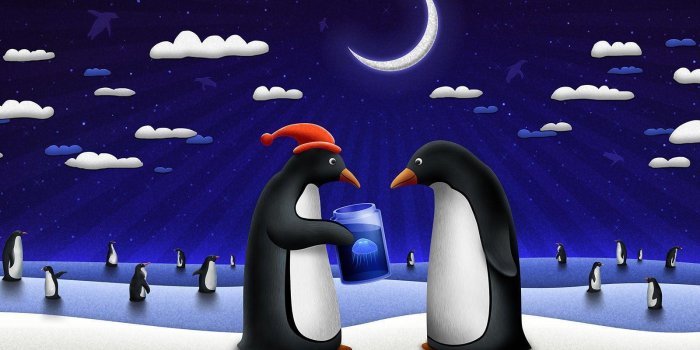 1600x1200 Cute Penguin Backgrounds