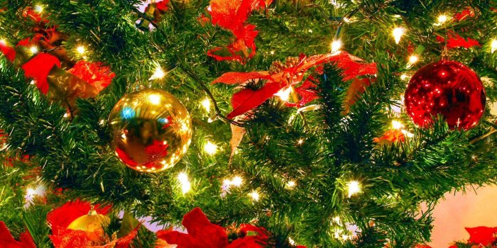 1920x1200 Holiday Christmas Colorful Christmas Ornaments Wallpaper | Merry