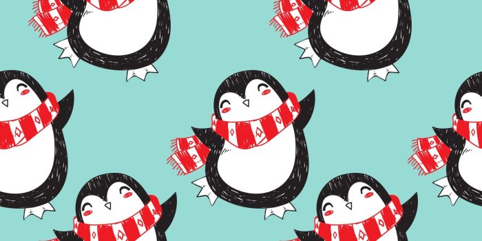 1920x1920 Christmas Penguin Background Free Stock Photo - Public Domain Pictures