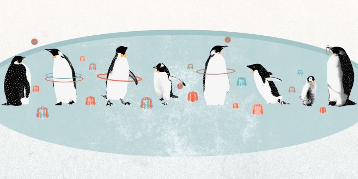 1920x1080 Funny Penguins Cartoon Hd Wallpaper - Cute Penguin Wallpaper