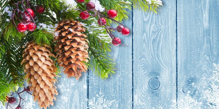 2560x1600 Free download Christmas Decoration Wallpaper Download Of Happy