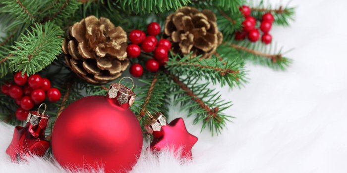 1920x1200 Red Christmas decorations - Christmas Wallpaper (22228018