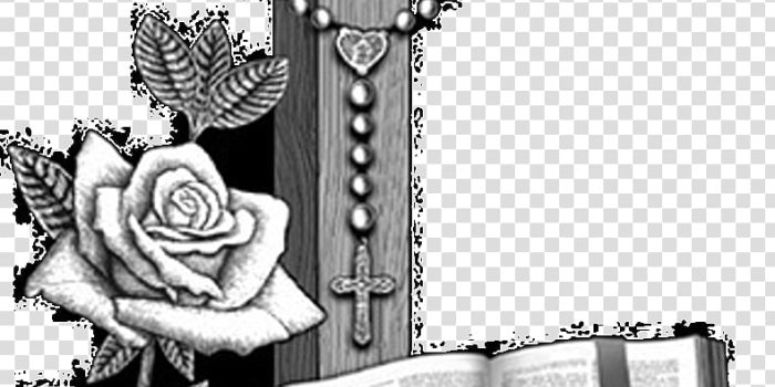 790x1470 Praying Hands PNG clipart images free download | PNGGuru