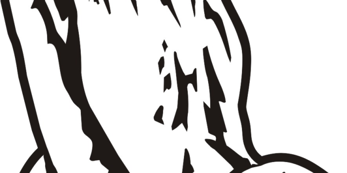 885x1359 Library of hands in prayer with cross jpg freeuse stock png png