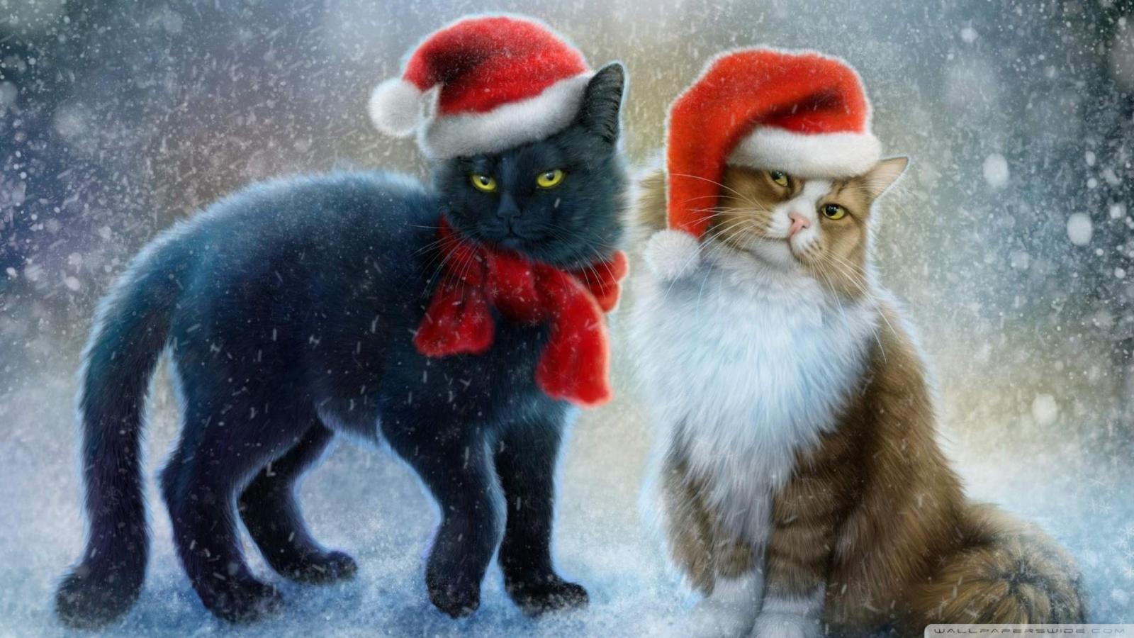 1920x1080 Christmas Cats Desktop Wallpapers