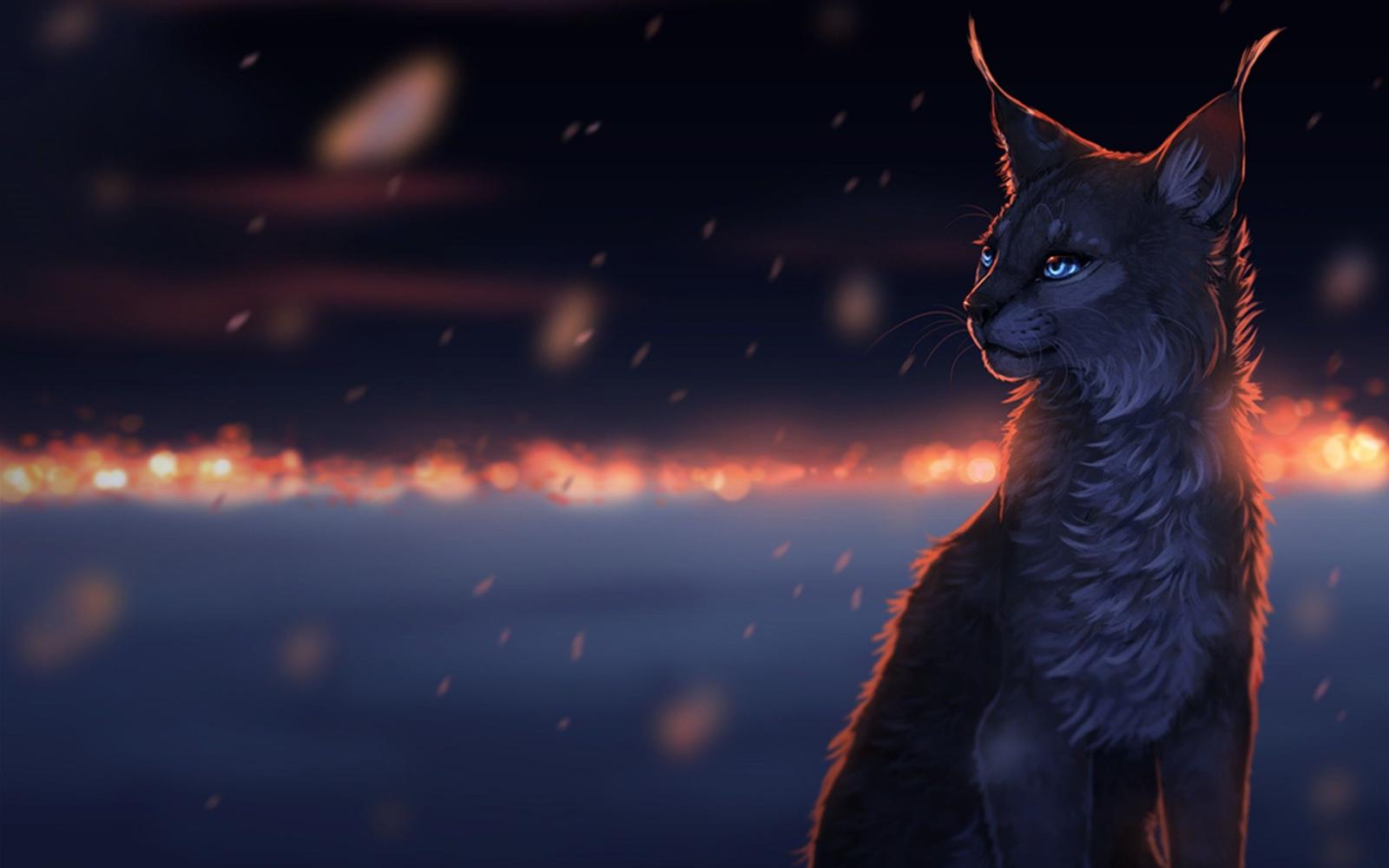 2560x1600 art, Cat, Dreams, Snow, Sorrow, Drops, Cats, Fantasy, Eyes, Bokeh