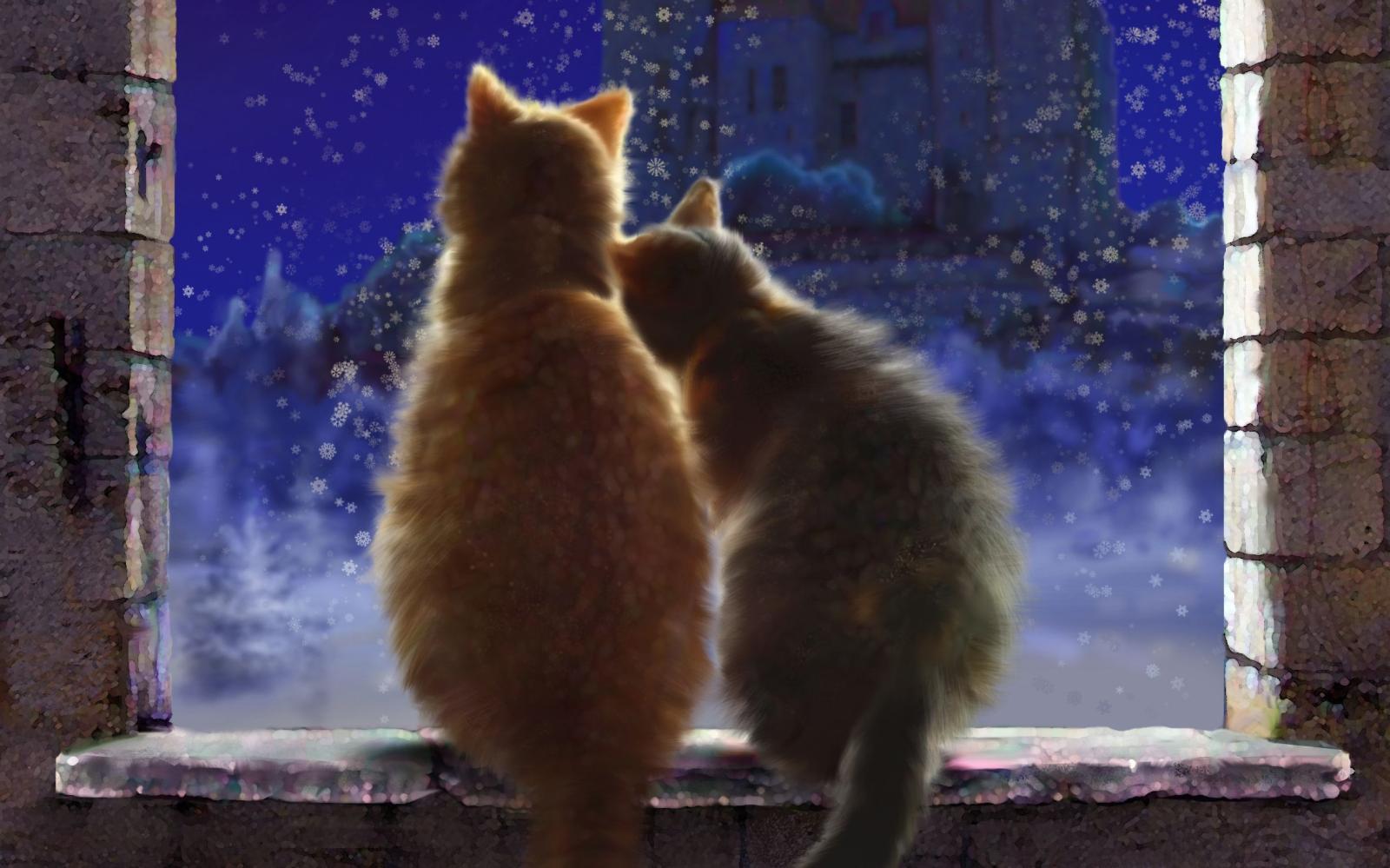 2362x1476 Art, Cats, pair, love, snow, Winter, window, sill, castle, night