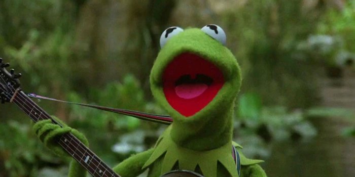1920x1080 Kermit the Frog Wallpaper (53+ images)