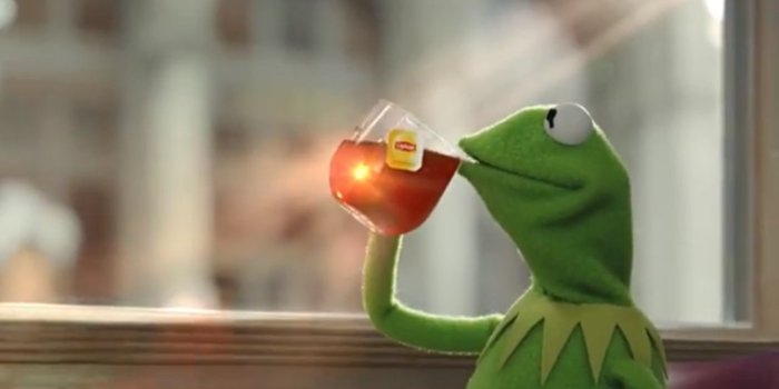 1920x1080 Kermit the Frog Wallpaper (53+ images)