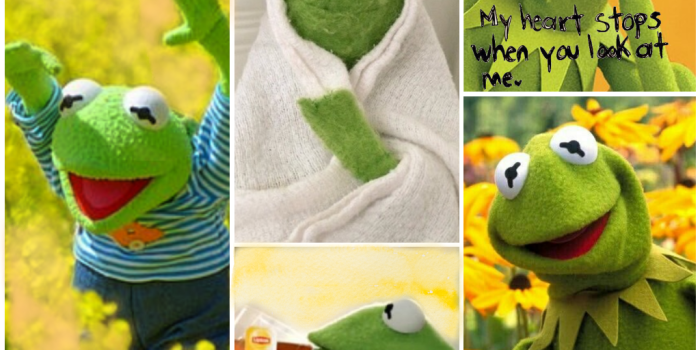 1024x1024 Kermit The Frog Aesthetic - 1024x1024 Wallpaper - Ecopetit.cat