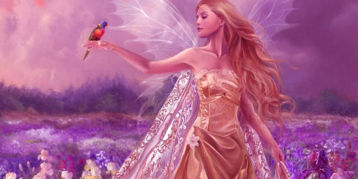 1680x1050 Love Angels wallpapers - Crazy Frankenstein