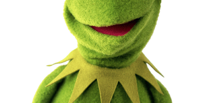 2000x2000 Kermit The Frog Wallpaper posted by Sarah Johnson
