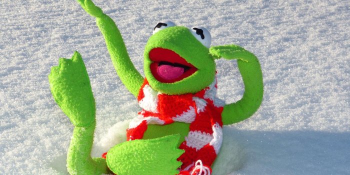 3840x2880 Kermit Wallpaper - Kermit The Frog On Snow, Hd Wallpapers
