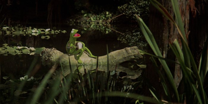 1920x1038 Kermit the Frog | Muppet Wiki | Fandom
