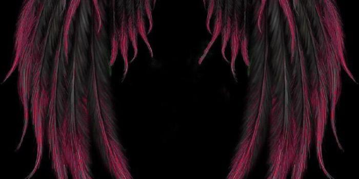750x1334 Fantasy | Wings wallpaper, Angel wallpaper