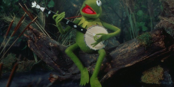 1920x1080 O935X41 Kermit The Frog Wallpaper 1920x1080 - Picserio.com