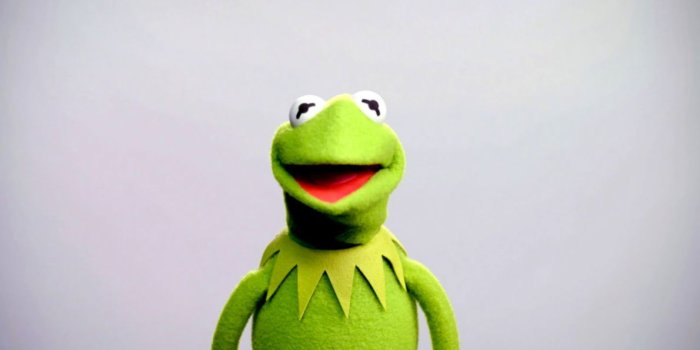 1190x662 Kermit The Frog Wallpapers posted by Samantha Johnson