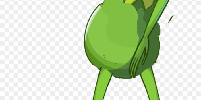 880x1315 Kermit The Frog Clipart