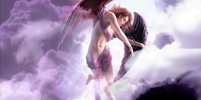 1280x800 20 Attractive Angel Wallpapers - We Need Fun