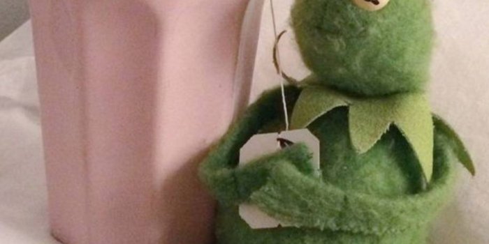 917x1280 Kermit The Frog Wallpaper posted by Sarah Johnson