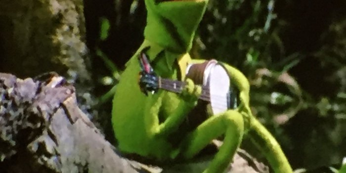 2048x1536 THE MUPPET MOVIE - Album on Imgur