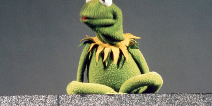2073x1541 Kermit the Frog | Muppet Wiki | Fandom