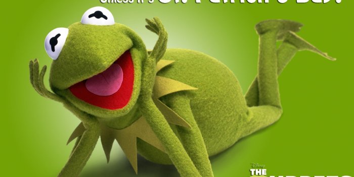 1920x1080 Free download happy st patrick s day from kermit the frog