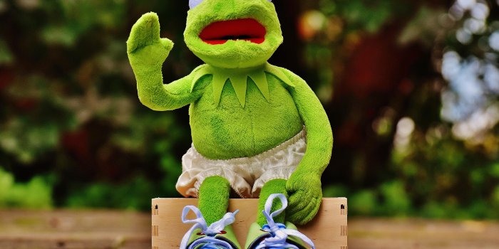 5020x3512 Kermit Wallpaper, Hd Wallpapers & backgrounds Download - Elsetge