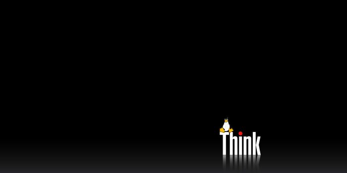 1920x1200 Lenovo Thinkpad Tux Wallpaper - Gnome-look.org