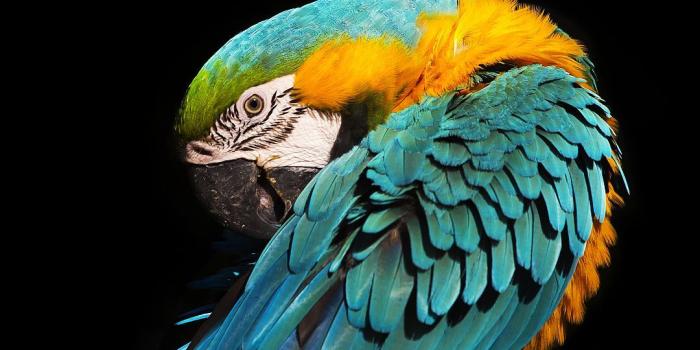 1080x2160 Download Lenovo S5 Wallpapers - 28 HD Wallpapers Collection