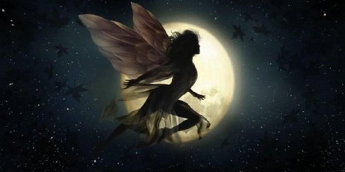 1920x1080 Free download HD Fairy Wallpaper TIM1KN3jpg Picseriocom [1920x1080
