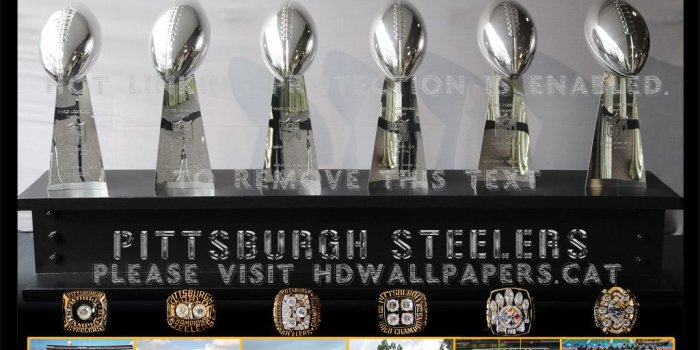 1024x768 pittsburgh steelers super bowl champions 6