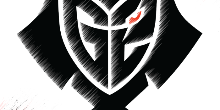 1080x2340 G2 mobile wallpaper : G2eSports