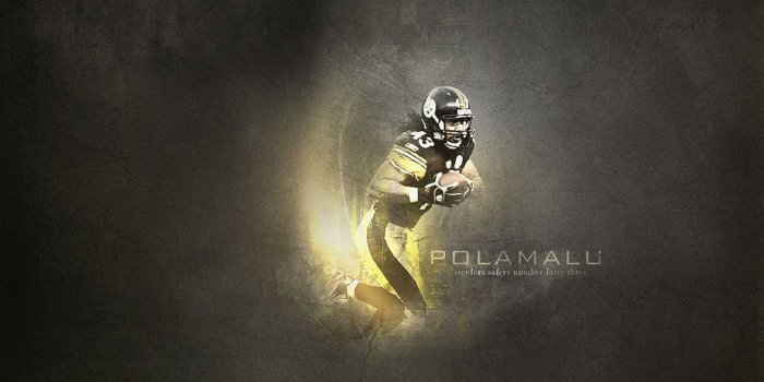 1600x900 Troy Polamalu Wallpapers Pittsburgh Steelers Wallpapers 1280x800