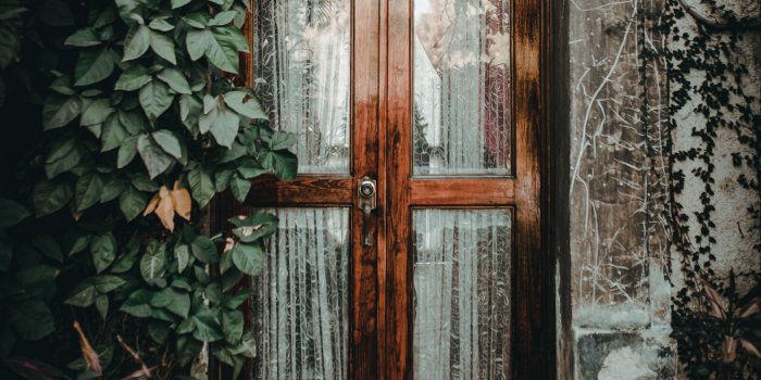 3415x3415 Download wallpaper 3415x3415 door, ivy, plant, entrance, wooden
