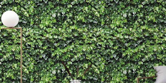 860x1200 Ivy Wall Garden Green' Wallpaper Mural | SurfaceView