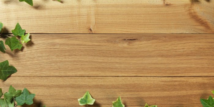 1920x1200 Free Ivy On Wood Wallpapers HD Windows Apple Tablet Artworks 4k